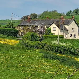 https://beautiful-devon-farmhouse.cardiffhotelswales.com